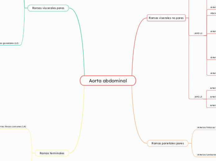 Aorta abdominal - Mapa Mental