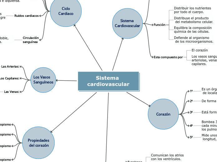 Sistema cardiovascular - Mapa Mental
