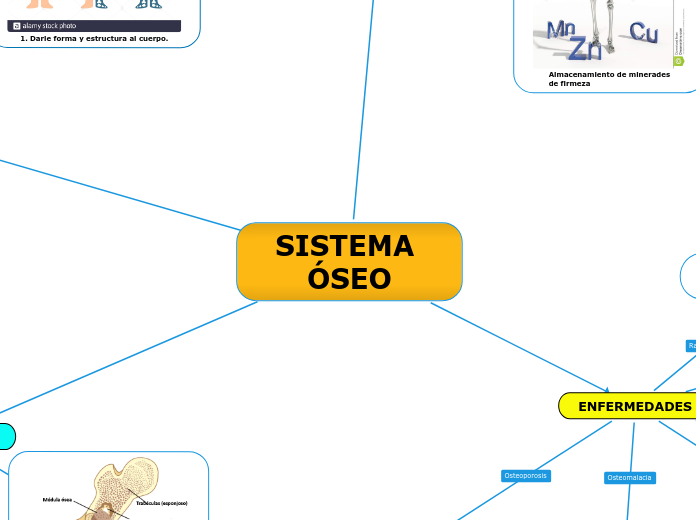 SISTEMA ÓSEO - Mind Map