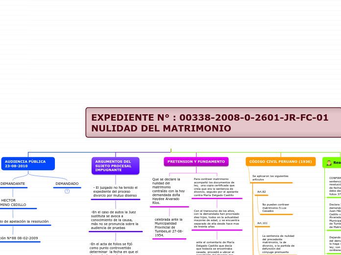 EXPEDIENTE N° : 00338-2008-0-2601-JR-FC...- Mapa Mental