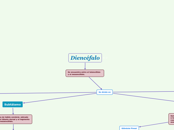 Diencéfalo - Mind Map