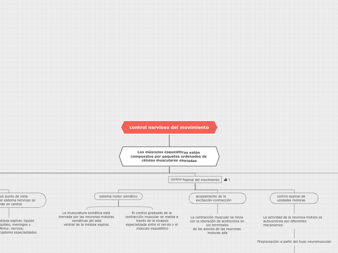 control nervioso del movimiento - Mapa Mental