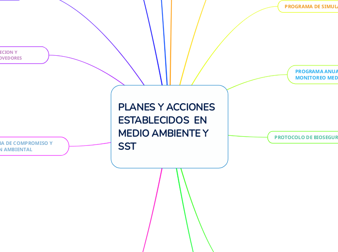 PLANES Y ACCIONES ESTABLECIDOS  EN MEDIO AMBIENTE Y SST