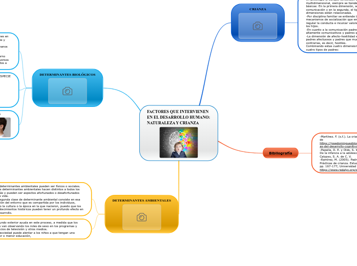 FACTORES QUE INTERVIENEN EN EL DESARROLLO ...- Mind Map