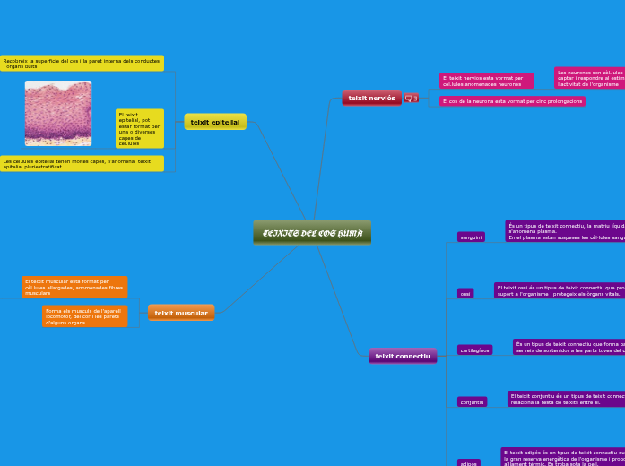 bio - Mind Map