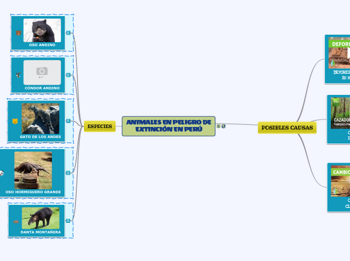 ANIMALES EN PELIGRO DE EXTINCIÓN EN PERÚ - Mind Map