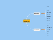 Amable - Mapa Mental
