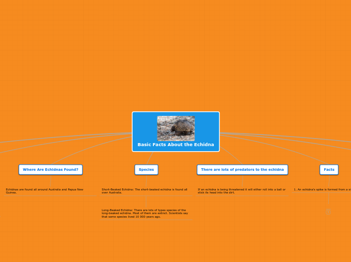Basic Facts About the Echidna - Mind Map