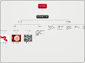 Blood - Mind Map