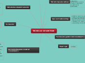 TECNICAS DE GESTION - Mapa Mental