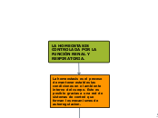 LA HOMEOSTASIS CONTROLADA POR LA FUNCIÓ...- Mapa Mental
