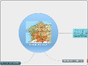 OS RÍOS DE GALICIA - Mind Map