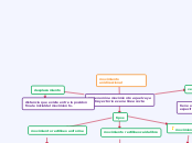 movimiento unidireccional - Mapa Mental