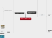 Cultura Tributaria - Mapa Mental