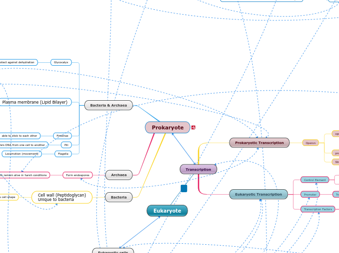 Prokaryote - Mind Map