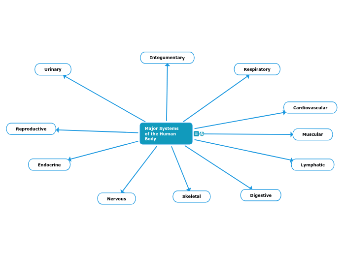 Major Systems 
of the Human Body - Mind Map