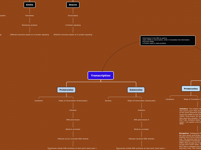 Transcription - Mind Map