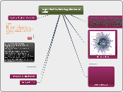 Seguridad Social y legislación en Salud - Mapa Mental