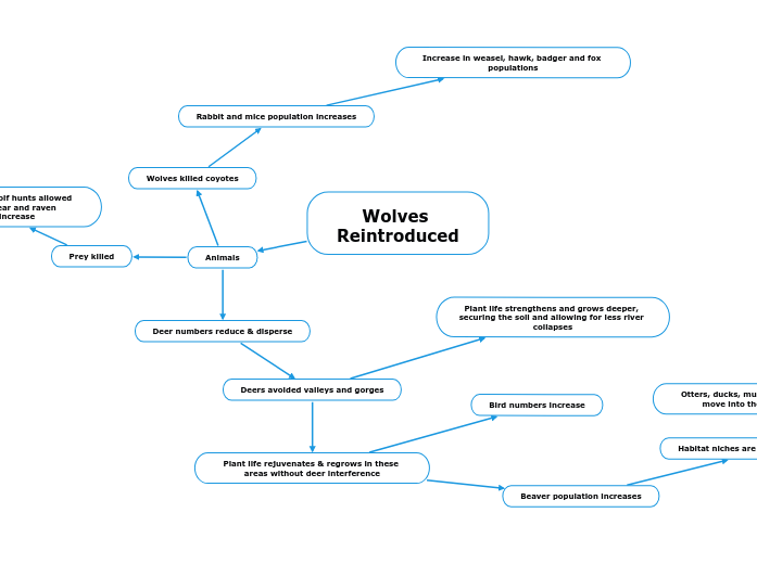 Wolves Reintroduced - Mind Map