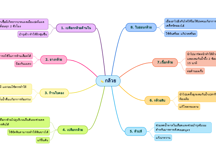 กล้วย - Mind Map