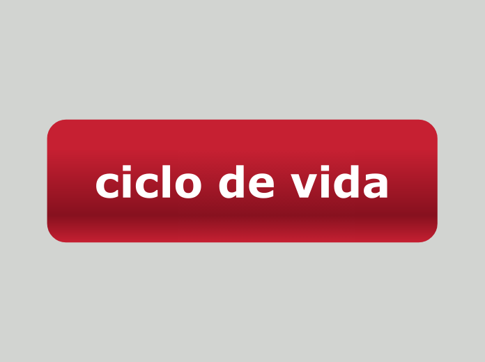 ciclo de vida - Mapa Mental