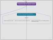 PLAN DECENAL DE SALUD PLICA - Mapa Mental