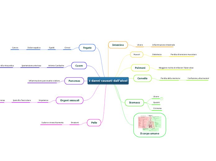 I danni causati dall'alcol - Mappa Mentale