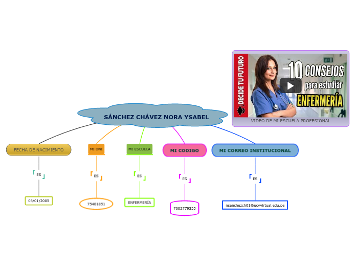 SÁNCHEZ CHÁVEZ NORA YSABEL - Mapa Mental