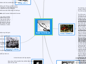 Gold Rush - Mind Map