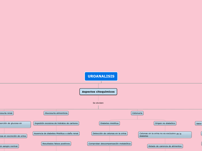 UROANALISIS - Mapa Mental