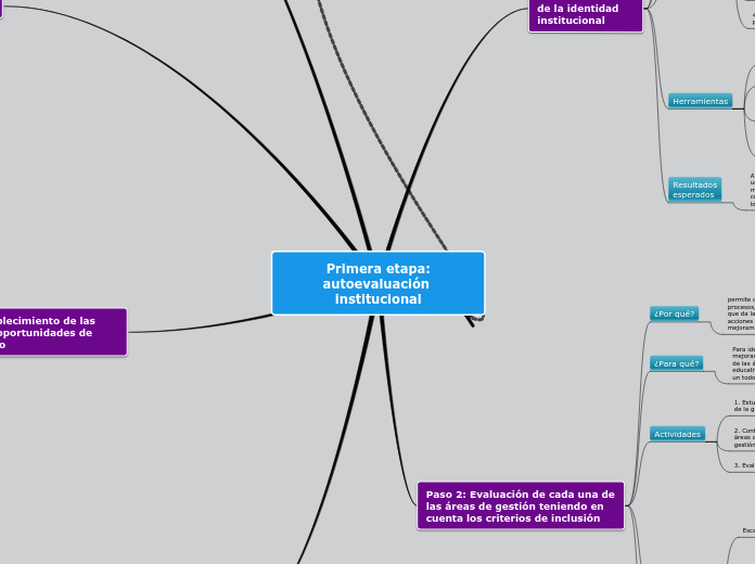 Primera etapa:
autoevaluación instituci...- Mapa Mental