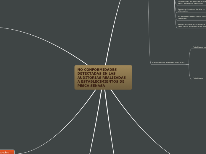 NO CONFORMIDADES DETECTADAS EN LAS AUDI...- Mapa Mental