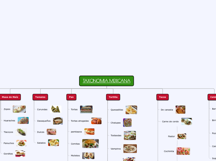 TAXONOMIA MEXICANA - Mapa Mental