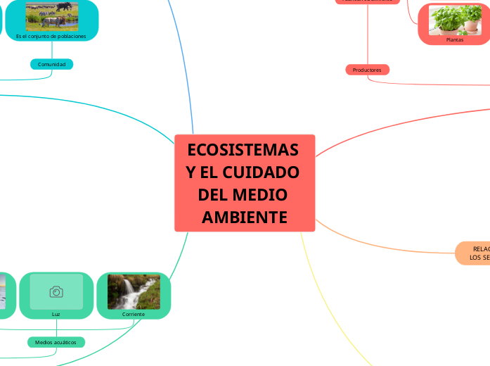 2-ECOSISTEMAS Y EL CUIDADO DEL MEDIO AMBIENTE