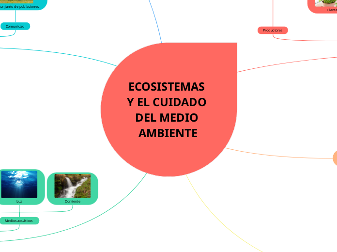 ECOSISTEMAS Y EL CUIDADO DEL MEDIO AMBI...- Mapa Mental