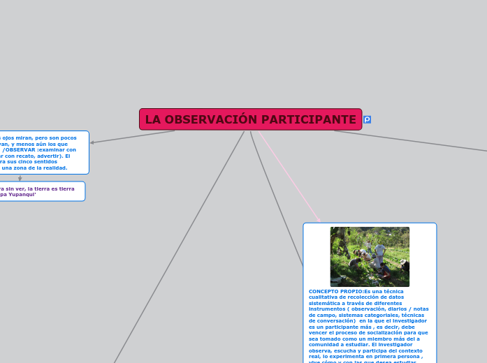 LA OBSERVACIÓN PARTICIPANTE - Mapa Mental