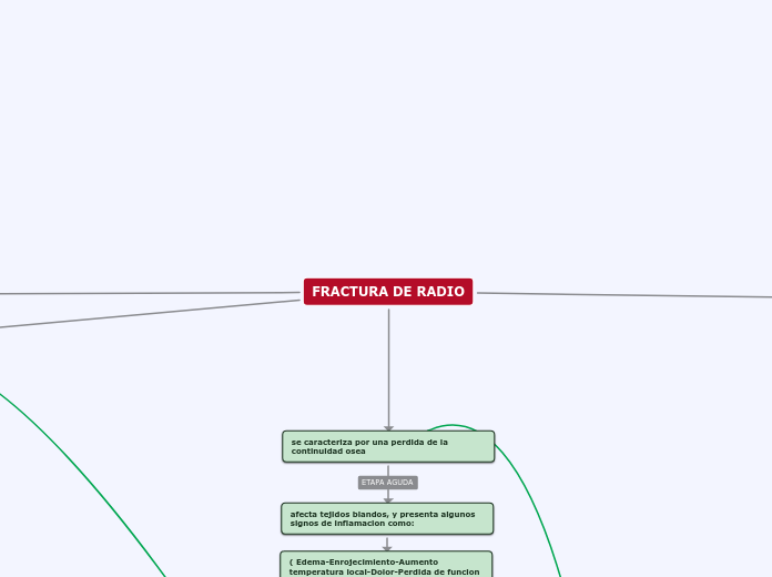 FRACTURA DE RADIO - Mapa Mental