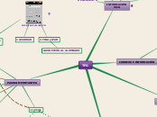 TFG PROFESORADO - Mapa Mental