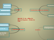 Agenda 21 du collège de Penne d'Agena...- Carte Mentale