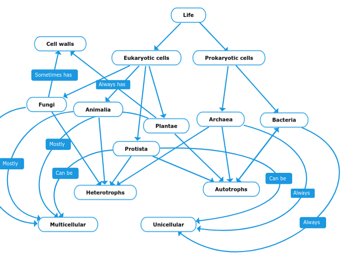 Life - Mind Map