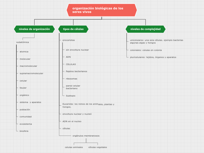 organización biológicas de los seres vi...- Mapa Mental