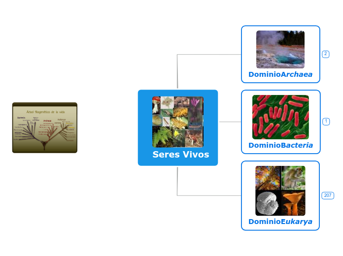   Seres Vivos - Mapa Mental