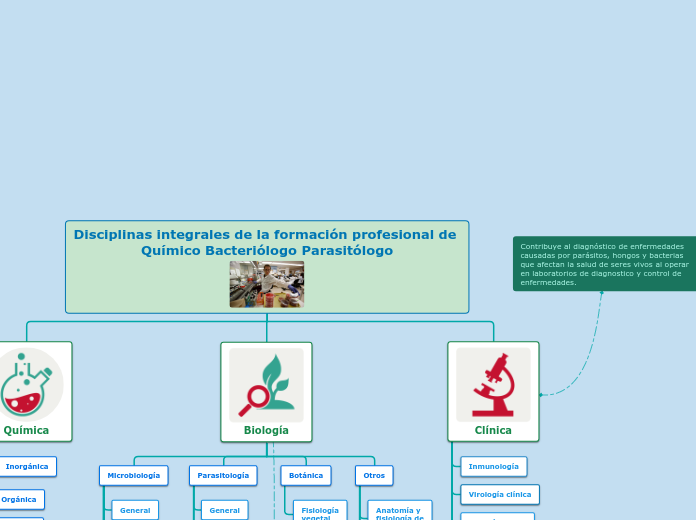 Disciplinas integrales de la formación ...- Mapa Mental