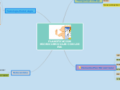 PLANIFICACION MICROCURRICULAR CON LOS EVA