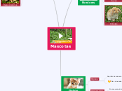 Mascotas - Mapa Mental