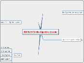 BIOLOGY-the digestive system - Mind Map