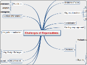 OTD Chapter 4 Challenges of Organizations 