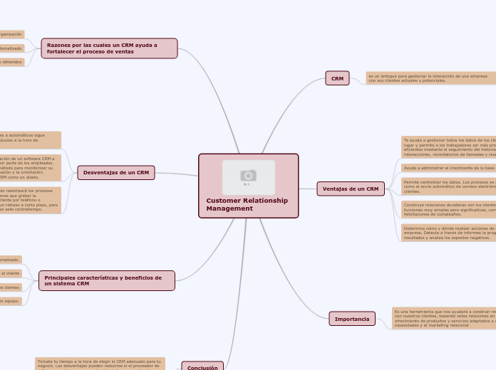 Customer Relationship Management - Mapa Mental