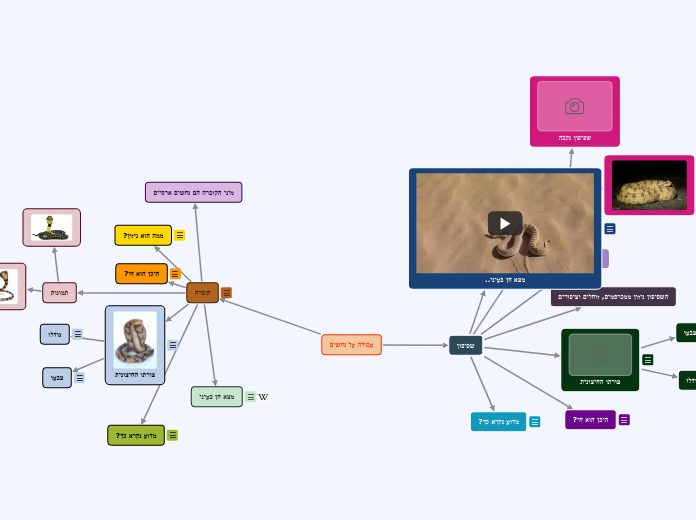 עבודה על נחשים - Mind Map