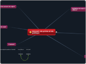 internet=vie privée et vie publique - Carte Mentale
